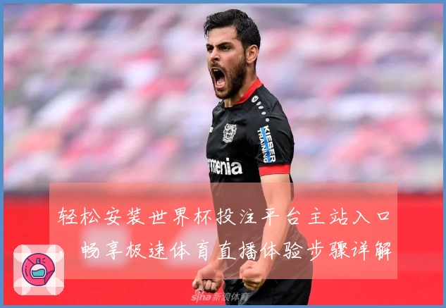 轻松安装世界杯投注平台主站入口，畅享极速体育直播体验步骤详解