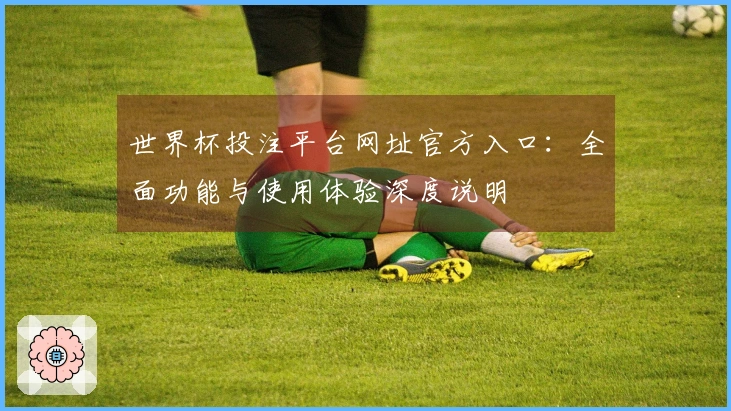 世界杯投注平台网址官方入口：全面功能与使用体验深度说明