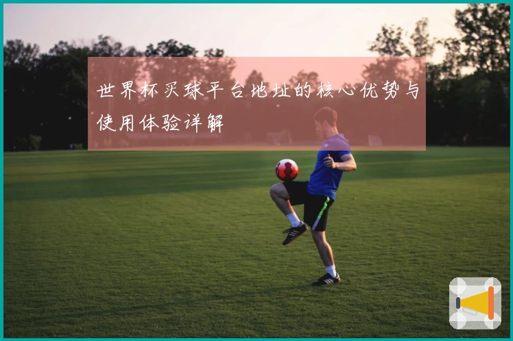世界杯买球平台地址的核心优势与使用体验详解