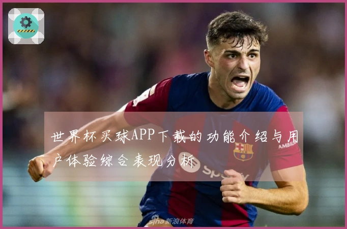 世界杯买球APP下载的功能介绍与用户体验综合表现分析