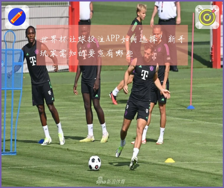 世界杯让球投注APP如何选择？新手玩家需知的要点有哪些