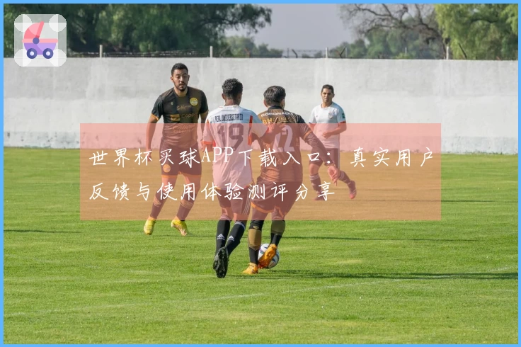世界杯买球APP下载入口：真实用户反馈与使用体验测评分享
