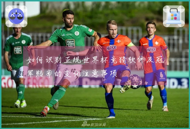 如何识别正规世界杯竞猜软件及冠军赔率的变化注意事项