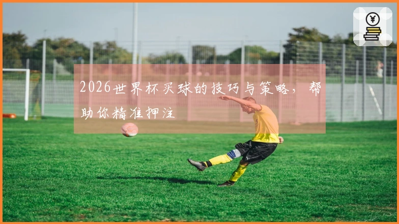 2026世界杯买球的技巧与策略，帮助你精准押注