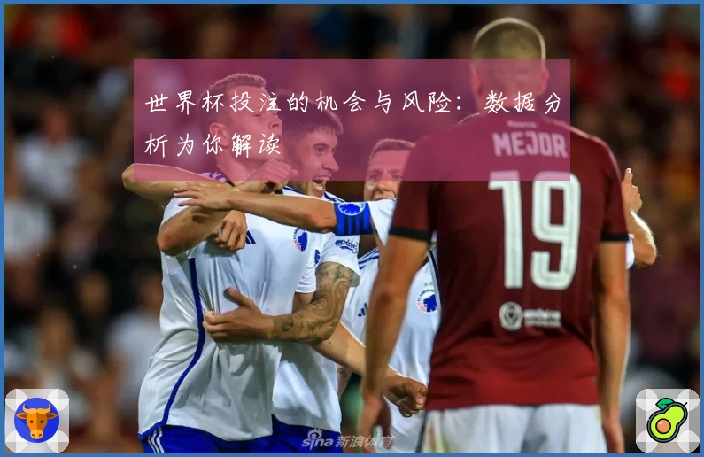 世界杯投注的机会与风险：数据分析为你解读