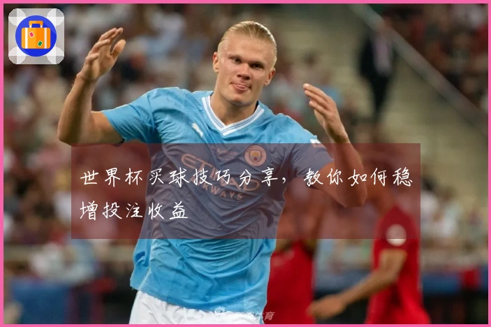 世界杯买球技巧分享，教你如何稳增投注收益