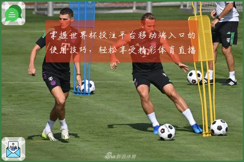 掌握世界杯投注平台移动端入口的使用技巧，轻松享受精彩体育直播体验