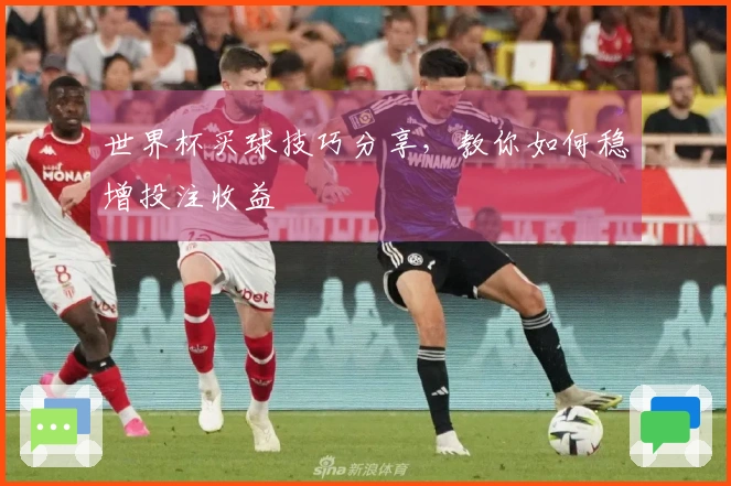 世界杯买球技巧分享,教你如何稳增投注收益