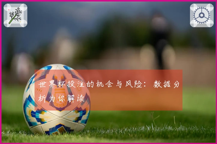 世界杯投注的机会与风险：数据分析为你解读