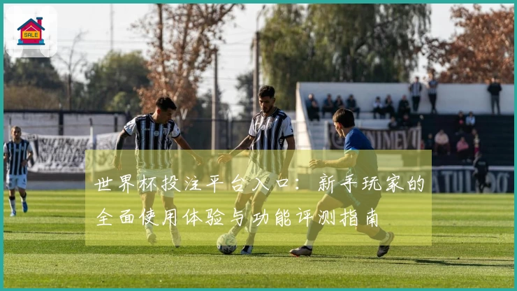 世界杯投注平台入口：新手玩家的全面使用体验与功能评测指南