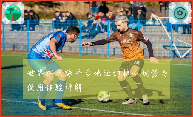 世界杯买球平台地址的核心优势与使用体验详解
