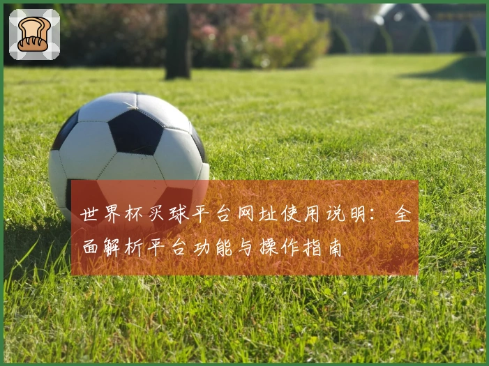 世界杯买球平台网址使用说明：全面解析平台功能与操作指南