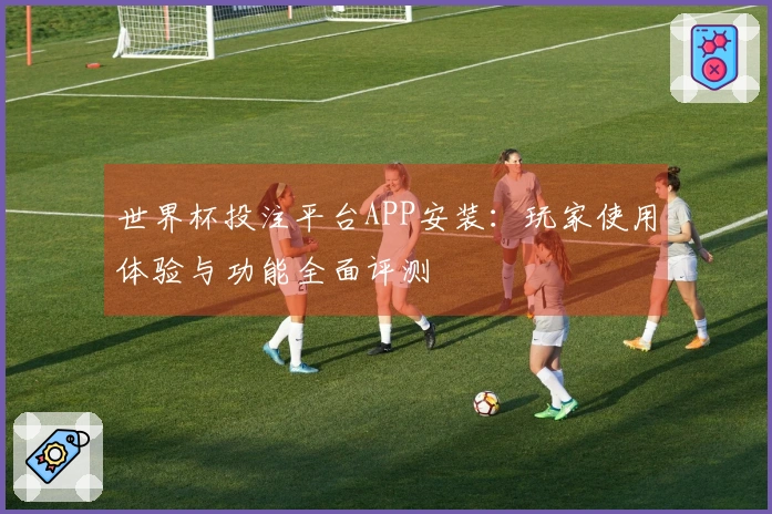 世界杯投注平台APP安装：玩家使用体验与功能全面评测