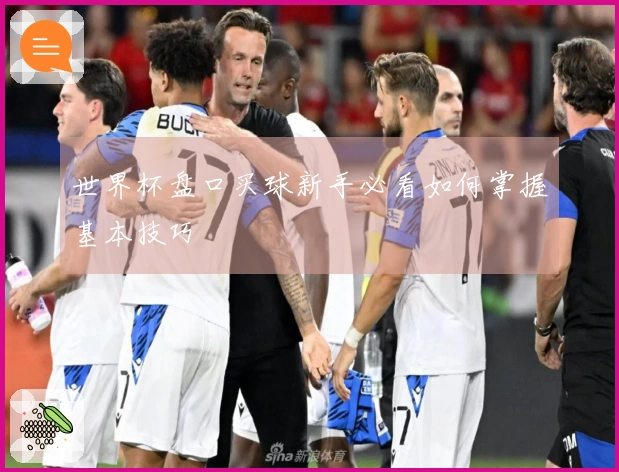 世界杯盘口买球新手必看如何掌握基本技巧
