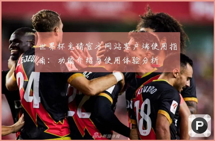 世界杯竞猜官方网站客户端使用指南：功能介绍与使用体验分析