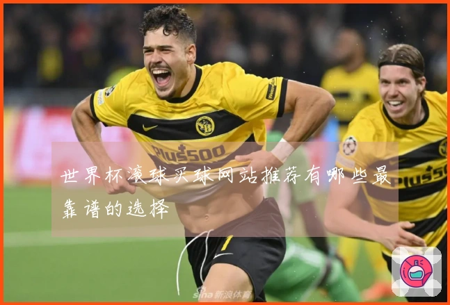 世界杯滚球买球网站推荐有哪些最靠谱的选择