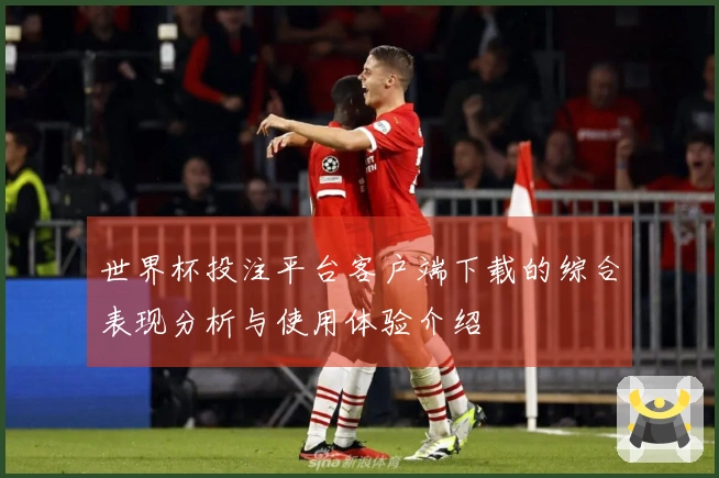 世界杯投注平台客户端下载的综合表现分析与使用体验介绍