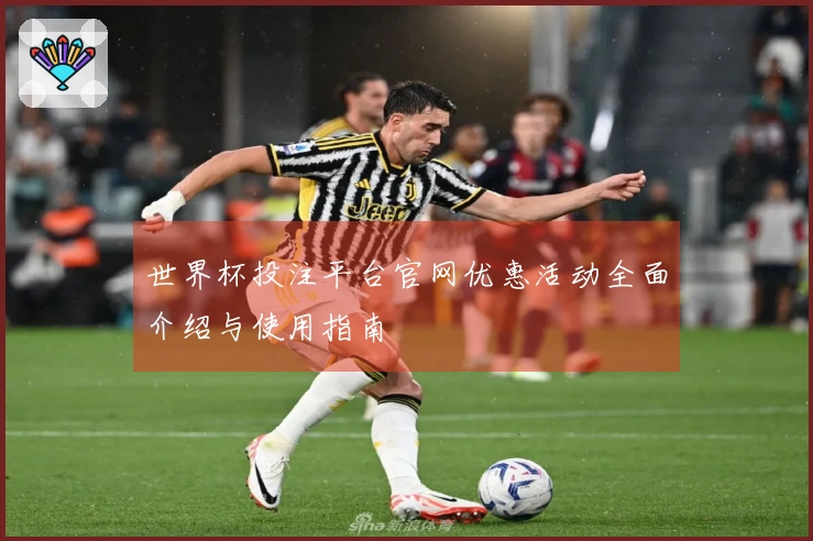 世界杯投注平台官网优惠活动全面介绍与使用指南